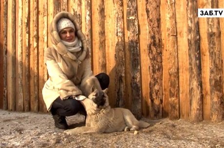 Акция ЗабТВ «Мокрый нос»: Юлиана Бажина рассказала, как спасла бездомных щенков