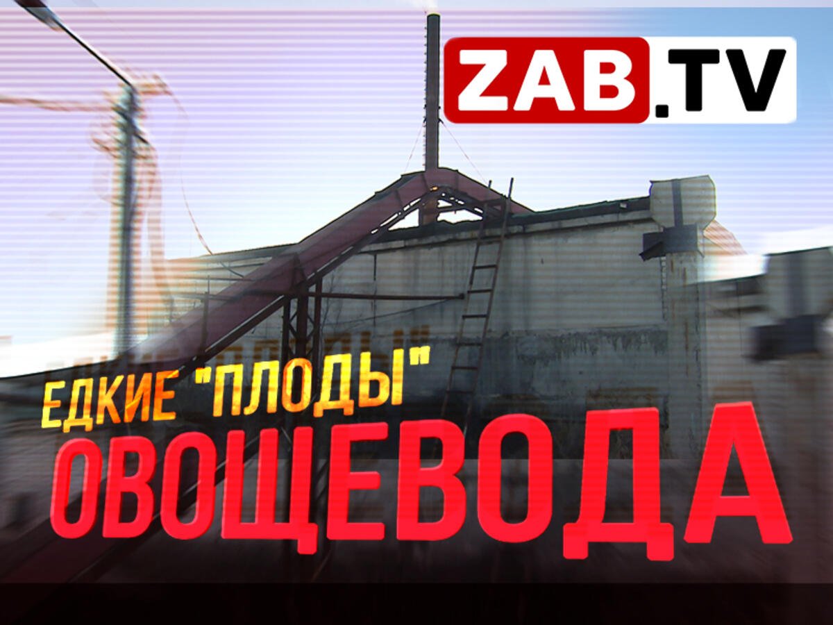 "Черновский овощевод" - это не только овощи, но и едкий чёрный  дым в окна жителей посёлка ГРЭС