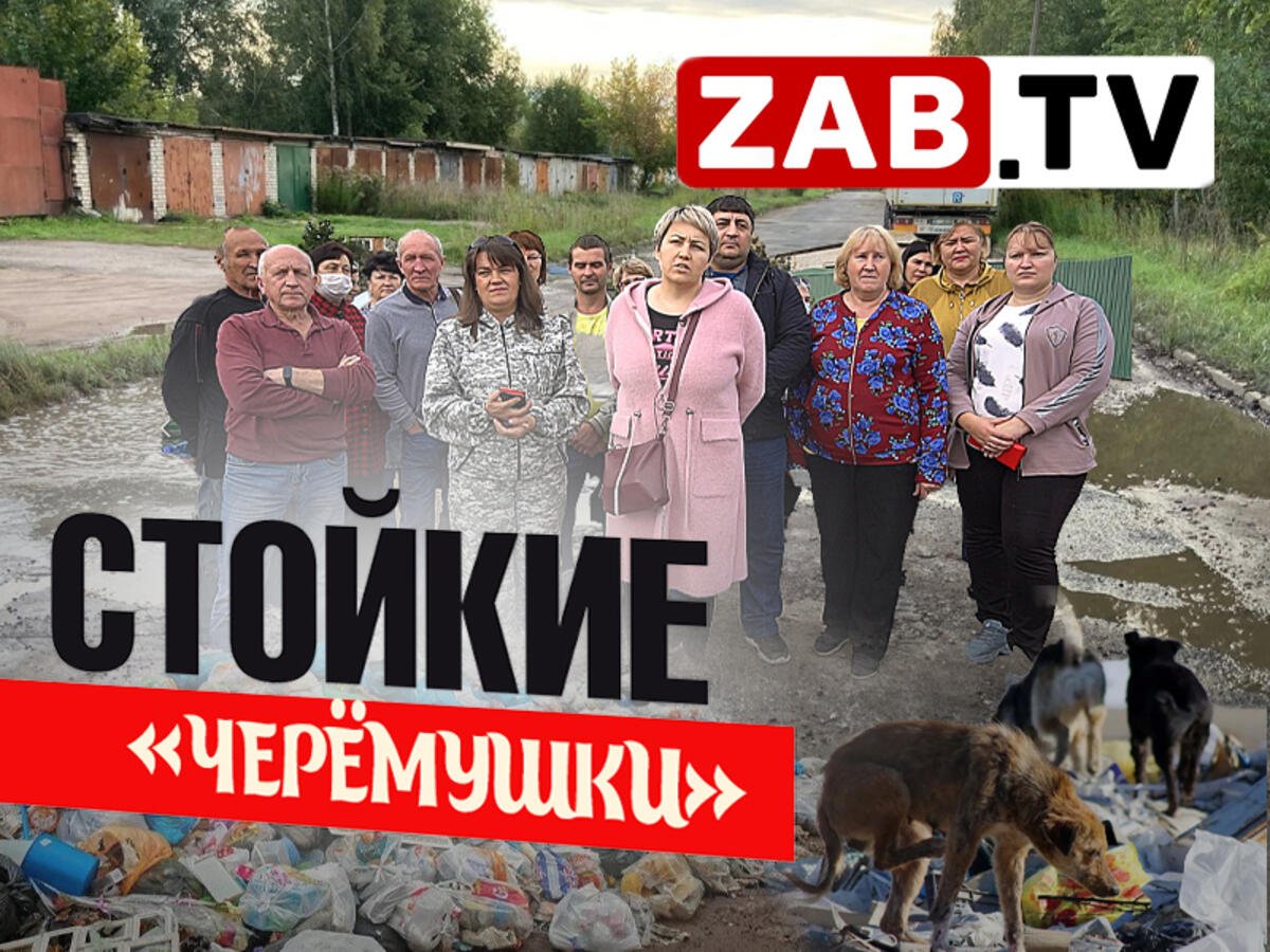 Черёмушки: Многолетняя борьба за цивилизацию в объективах камер ZabTV