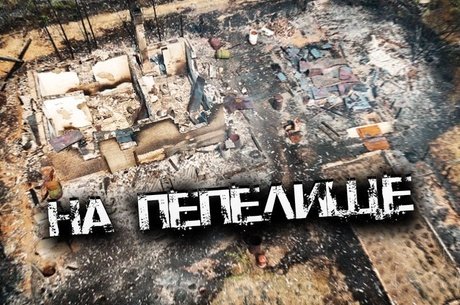 Дачный поселок под Читой выгорел до тла