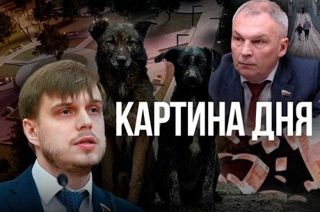 Картина дня - Депутат требует проверки аварийного моста, новый сквер в Чите, идентификация животных