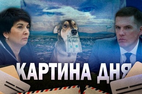 Бастрыкин взял на контроль дела в Чите: коррупция, собаки, почта, суды и кадры