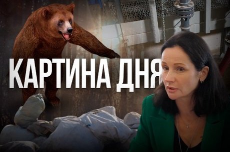 Картина дня - Медведи бегут от огня, зарплаты ректората ЗабГУ раскрыты, ОНФ ищет свалки.
