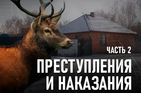 Природоохранный прокурор о трагедии в зоопитомнике «Амодово»