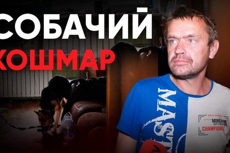 Читинское общежитие, где убили бездомную собаку, снова в центре скандала
