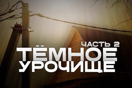 Десять сосен до света