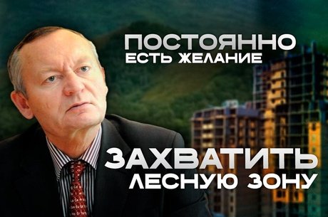 Гениатулин о борьбе за лес от Северного до Соснового Бора