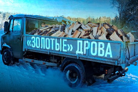 Депутат Госдумы: «Как пережить зиму, когда дрова подорожали в 10 раз?»