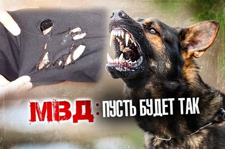 Искусали ребёнка