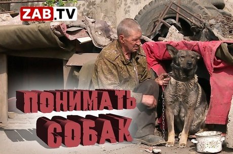 Их профессия – отлов животных