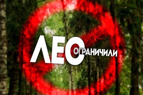 В Забайкалье продлили запрет на посещение лесов до 29 мая