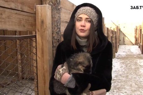 Акция ЗабТВ "Мокрый нос": Валентина Дымченко о том, как полюбить бездомную собаку