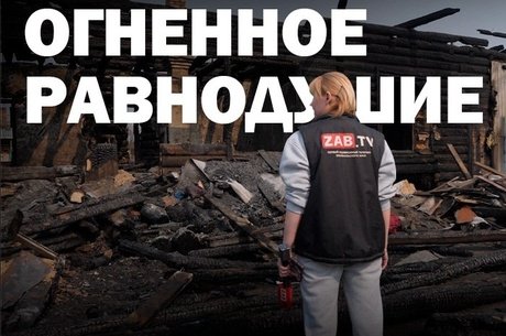 «Я ведь не птичка, чтобы жить на улице»