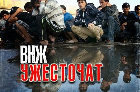 МВД усилит контроль над выдачей видов на жительство в России