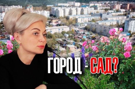 Дума Читы: планы по озеленению