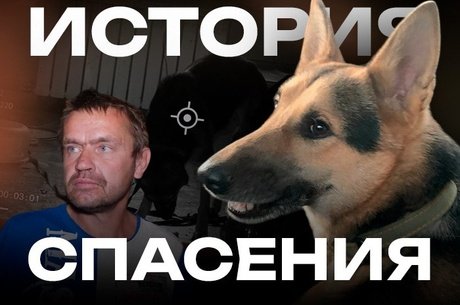 Из собачьего кошмара в добрые руки. Как спасали Черныша от собственного хозяина