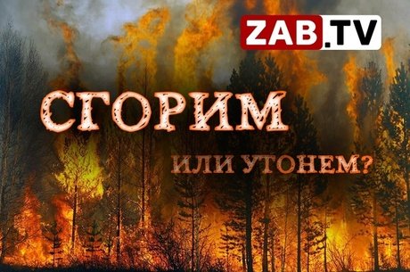 Размеры штрафов за лесные поджоги в Забайкалье увеличились в десять раз