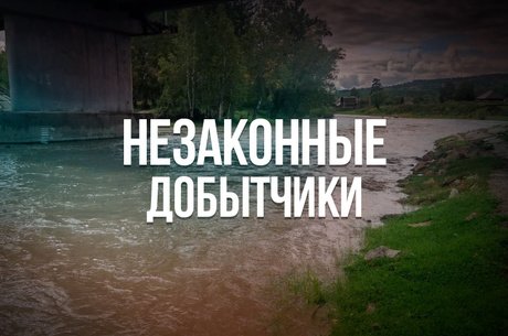 Экологическая тревога в селе Танха: река Кручина страдает от деятельности золотодобывающей компании