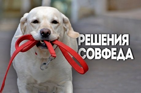 Сенатор Клишас предложил ввести уголовную ответственность за самовыгул собак
