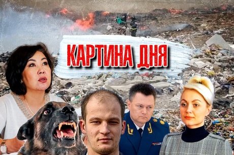 Картина дня: лишение степени, сроки чиновникам, эвтаназия собак, кража 900 млн и высокие зарплаты