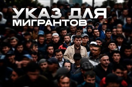 В России создадут цифровой профиль для иностранцев: что будет в базе данных