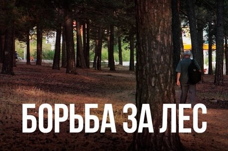 Получится ли у общественников Читы, спасти оставшийся в черте города лес?