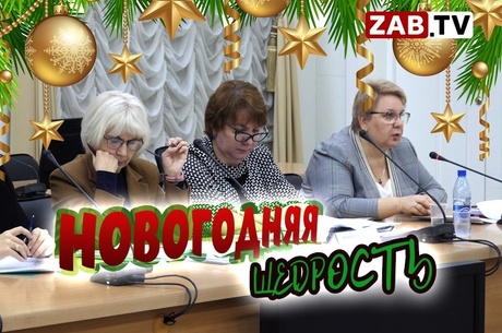 Депутаты Заксобра срочно утверждают дополнительный бюджет