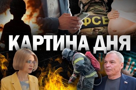 Картина Дня - детдома для поджигателей, новые правила абортов и дистанционный депутат