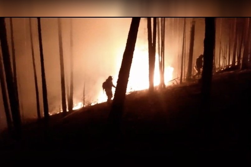 «Забайкалье в огне»: пожары уничтожают лес около Дарасуна