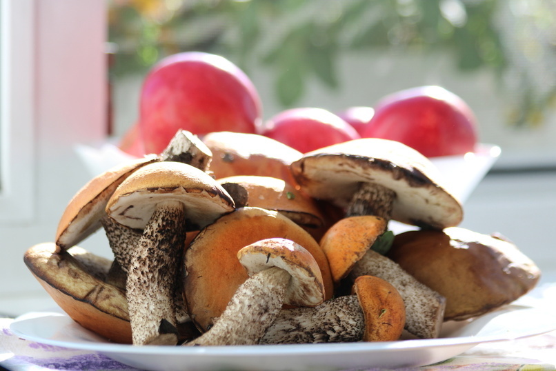 Ввоз грибов из Китая через Забайкальск вырос в 14 раз