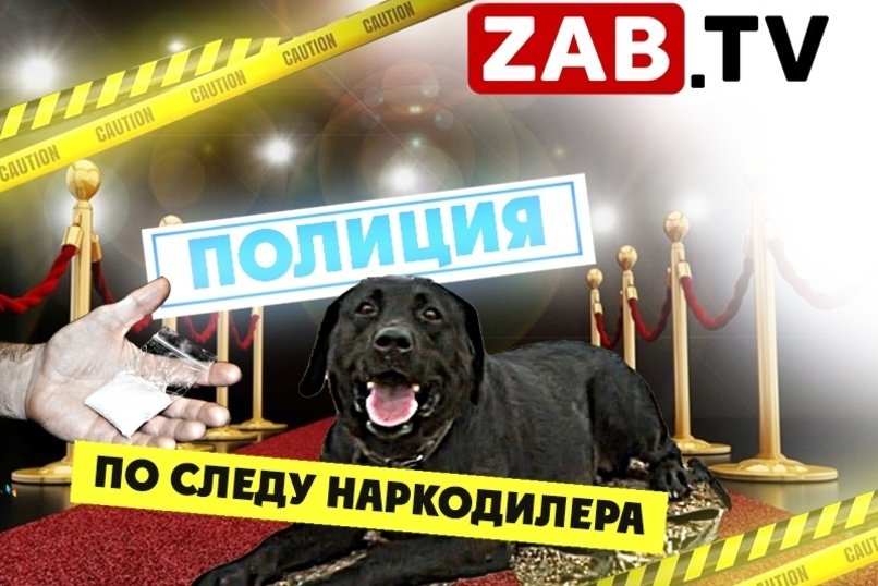 Кинолог рассказал журналисту ЗабТВ как правильно искать наркотические вещества