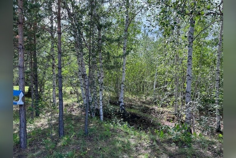 Гороскоп для жителей Забайкальского края на 27 августа
