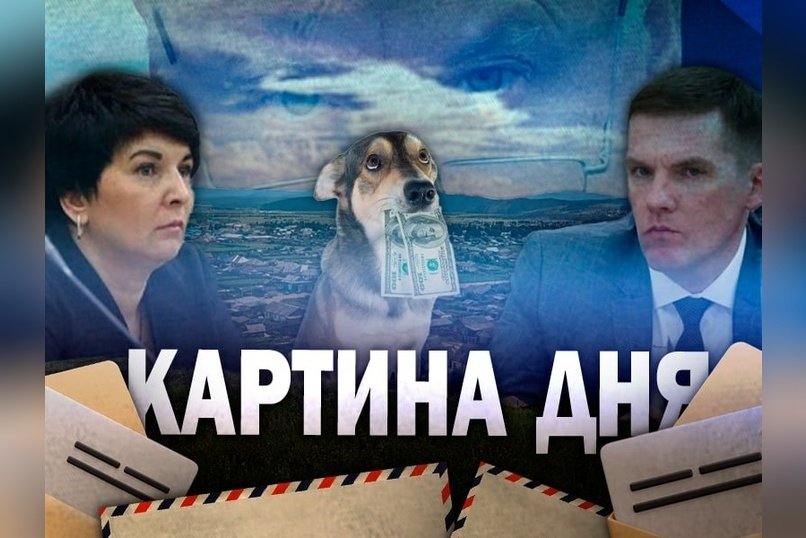 Бастрыкин взял на контроль дела в Чите: коррупция, собаки, почта, суды и кадры
