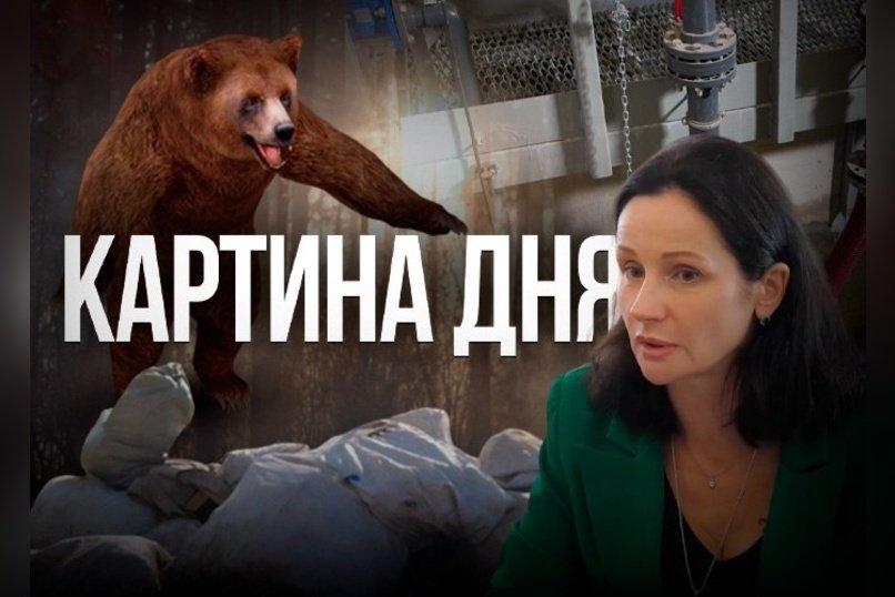 Картина дня - Медведи бегут от огня, зарплаты ректората ЗабГУ раскрыты, ОНФ ищет свалки.