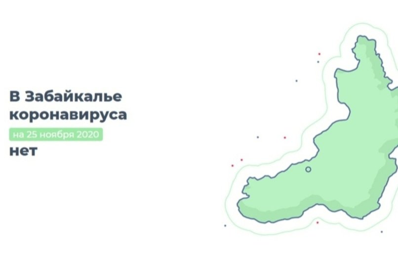 «Отсутствие» коронавируса в Забайкалье объяснили технической ошибкой