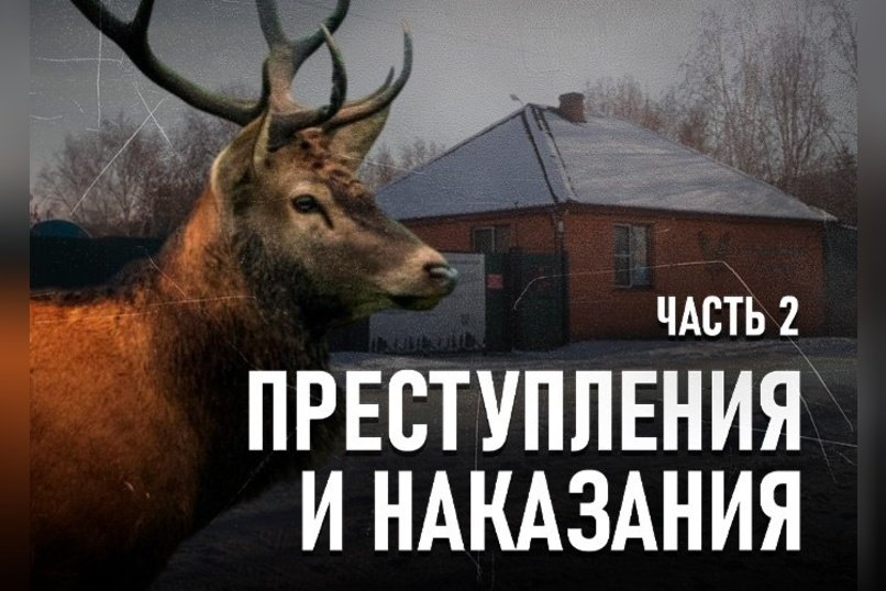 Природоохранный прокурор о трагедии в зоопитомнике «Амодово»