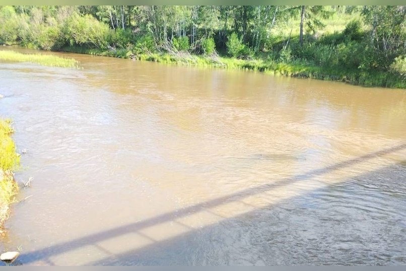 Сбросы сточных вод артелями испортили воду в реках Белый Урюм и Ундурга