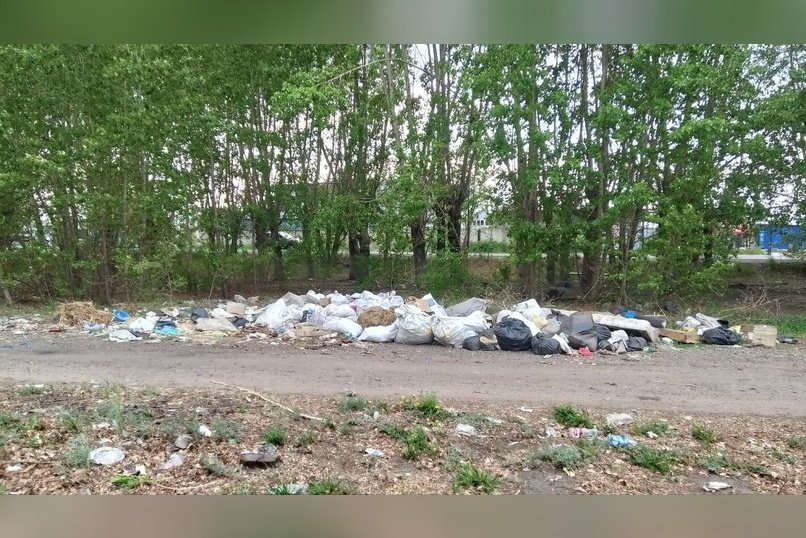 Две свалки на Кодарской ждут своего часа