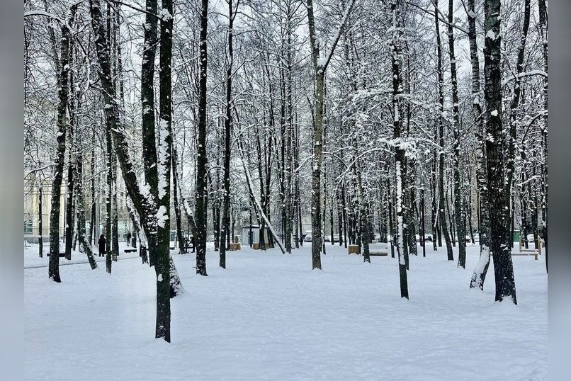 Синоптики рассказали, каким будет ноябрь в Забайкалье