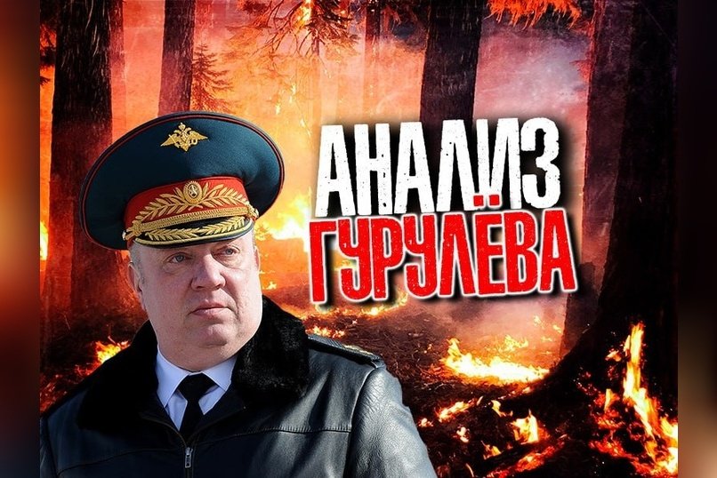 Депутат Гурулёв назвал причины катастрофических пожаров в Забайкалье