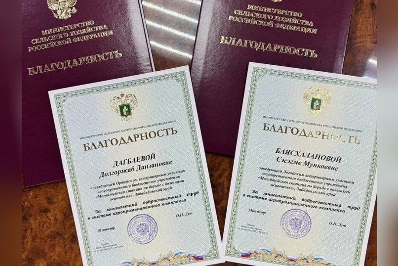 Ветеринаров Забайкалья отметили на федеральном уровне