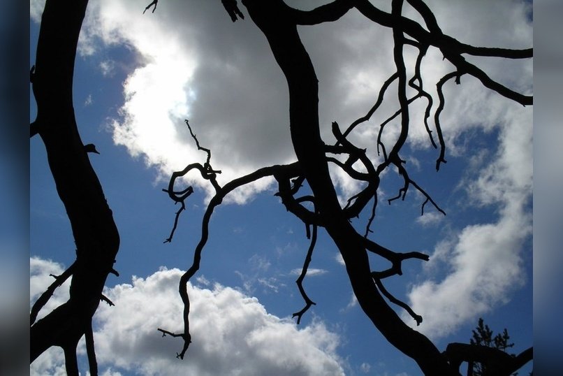 Тепло в Забайкалье пока задержится