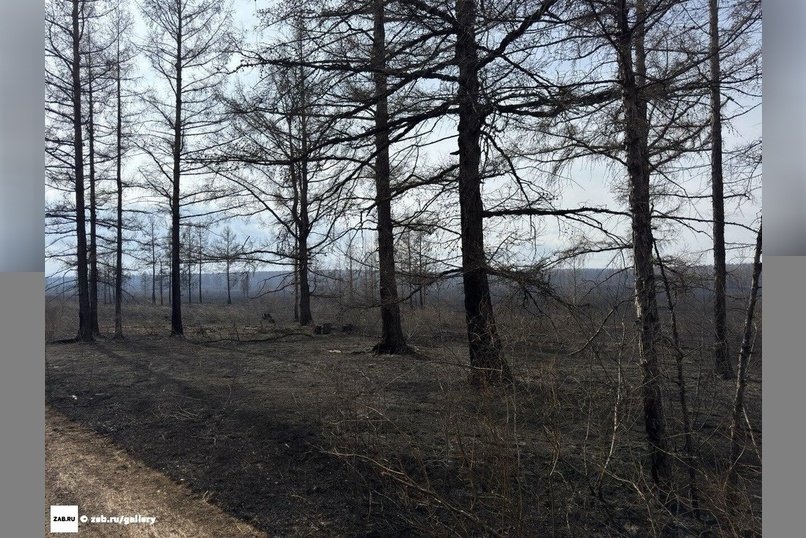 «Забайкалье в огне»: рядом с селом Брусиловка бушевал пожар