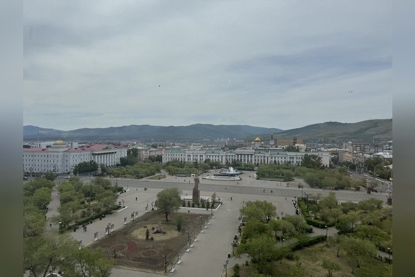 Попова высказалась о выгуле собак на газонах площади Ленина