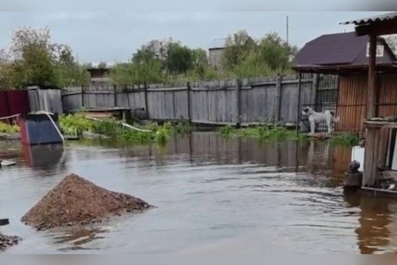 Участки в ДНТ «Строитель-2» затопило водой