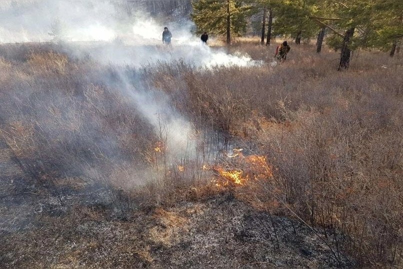 За минувшие сутки в регионе произошло 3 ландшафтных пожара