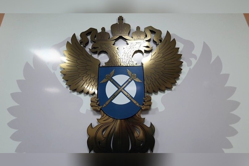 УФАС выявило нарушения в закупках для Шелопугинской ЦРБ