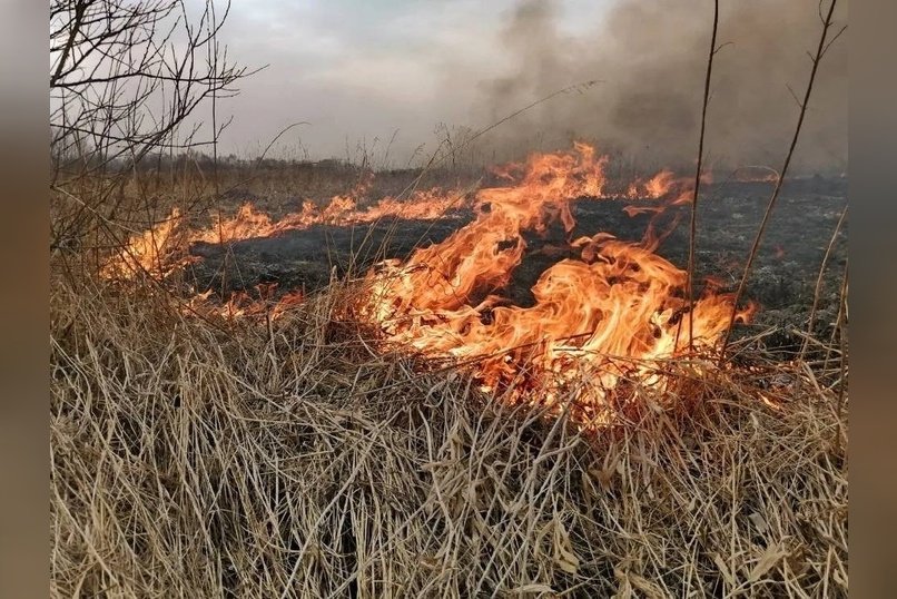 Ещё один пожар сухой травы произошёл в Чите