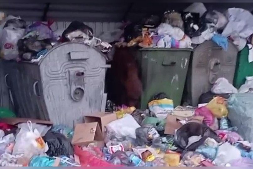 Двор на улице Ползунова превратился в большую свалку