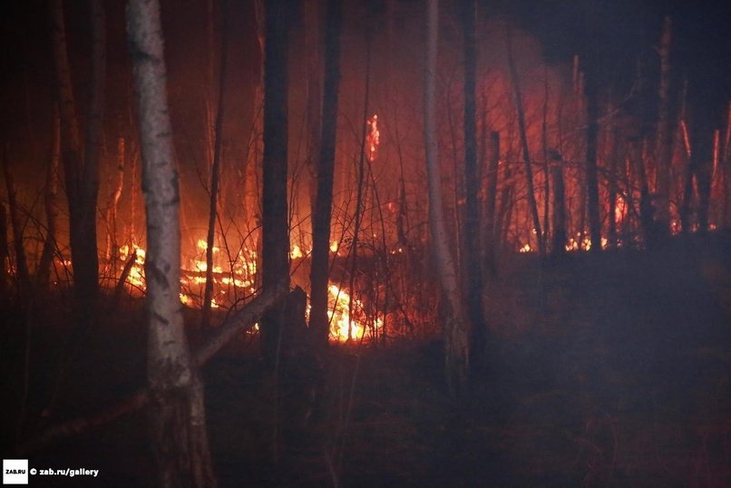 Десять поджигателей: установлены виновники лесных пожаров в Забайкалье